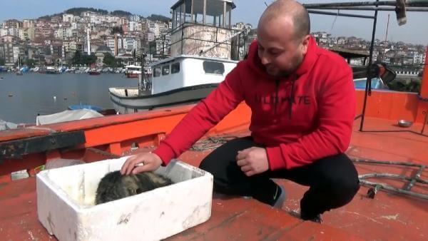 Murat Karakuş ve Kedi Minnoş